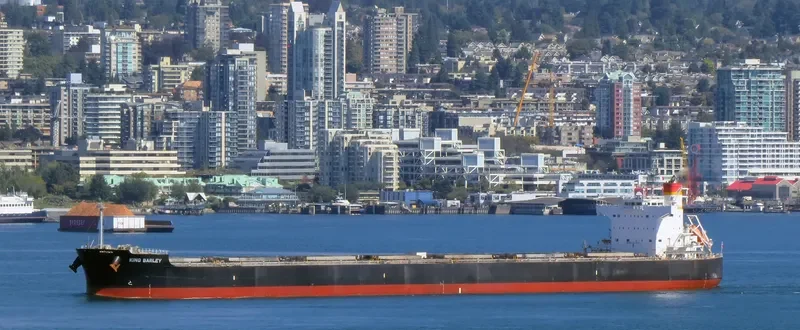 KING BARLEY Bulk Carrier IMO 9583160 photo 7