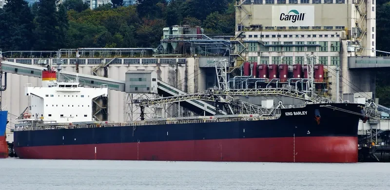 KING BARLEY Bulk Carrier IMO 9583160 photo 8