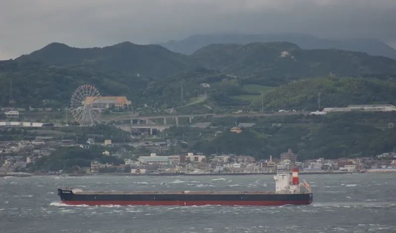 KING BARLEY Bulk Carrier IMO 9583160 photo 9