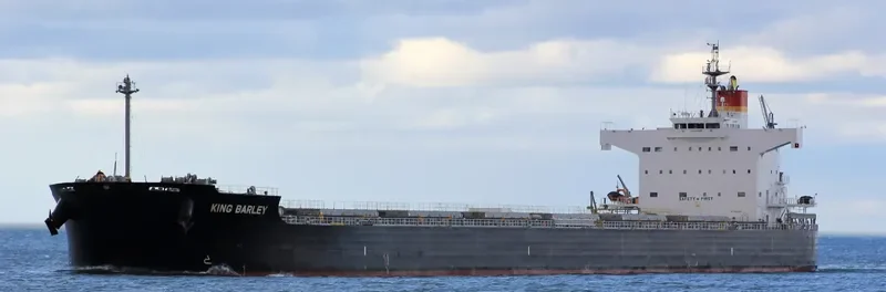 KING BARLEY Bulk Carrier IMO 9583160 photo 10