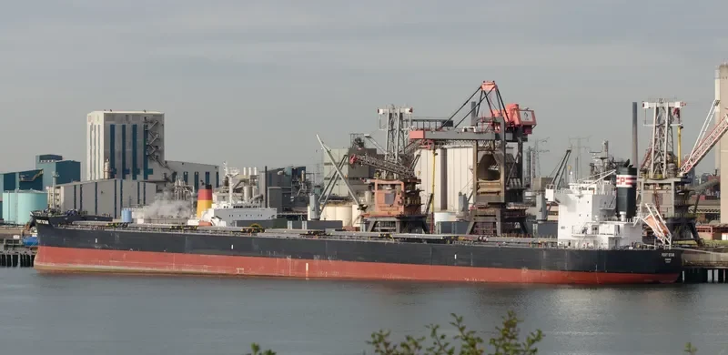 PORT STAR Bulk Carrier IMO 9583237 photo 8