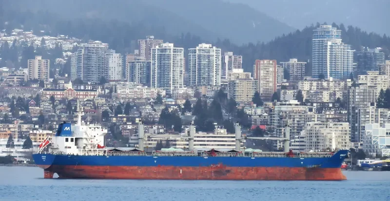 ERACLEA Bulk Carrier IMO 9583330 photo 4