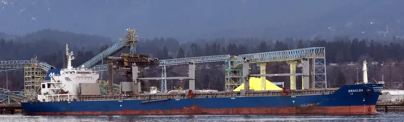 ERACLEA Bulk Carrier IMO 9583330 photo 5