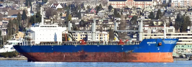 ERACLEA Bulk Carrier IMO 9583330 photo 6