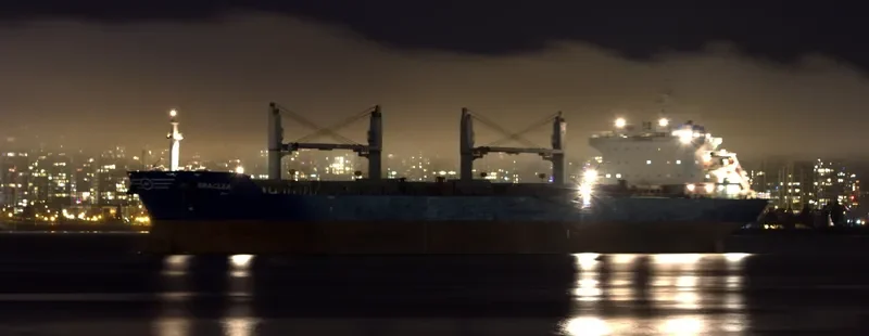ERACLEA Bulk Carrier IMO 9583330 photo 8