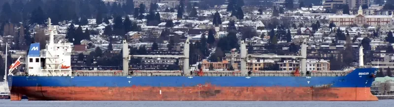 ERACLEA Bulk Carrier IMO 9583330 photo 10