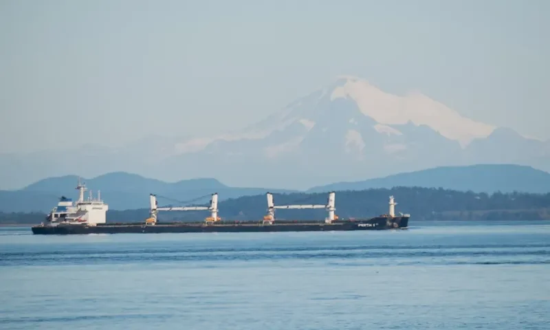 PERTH I Bulk Carrier IMO 9583550