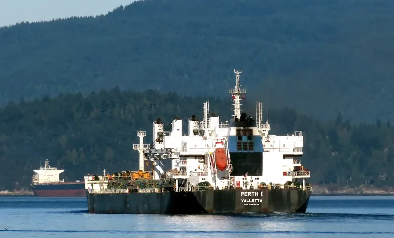 PERTH I Bulk Carrier IMO 9583550 photo 2