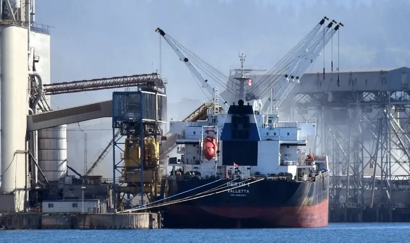 PERTH I Bulk Carrier IMO 9583550 photo 4
