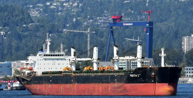 PERTH I Bulk Carrier IMO 9583550 photo 6