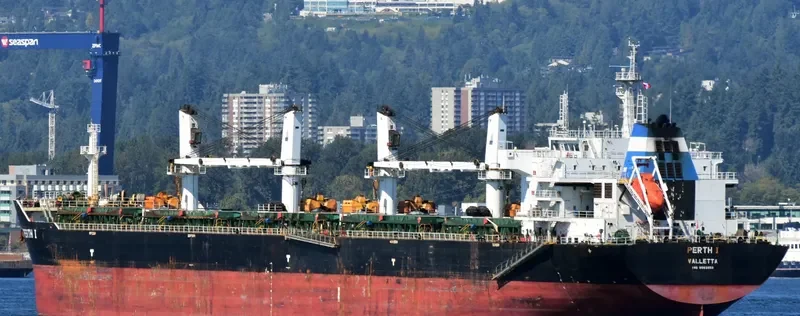 PERTH I Bulk Carrier IMO 9583550 photo 7