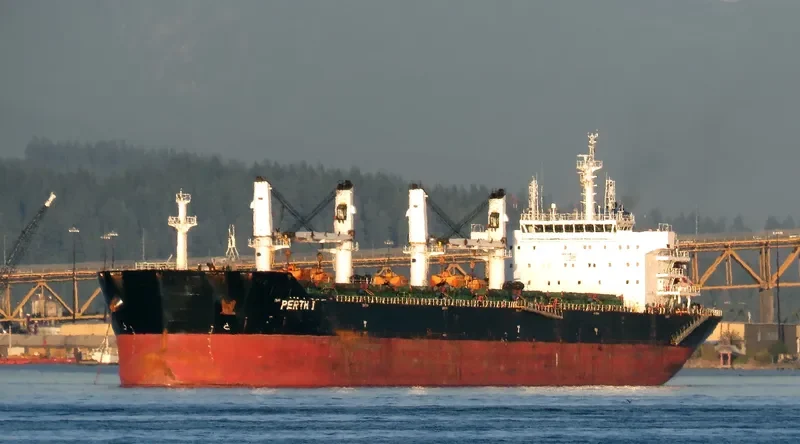 PERTH I Bulk Carrier IMO 9583550 photo 8