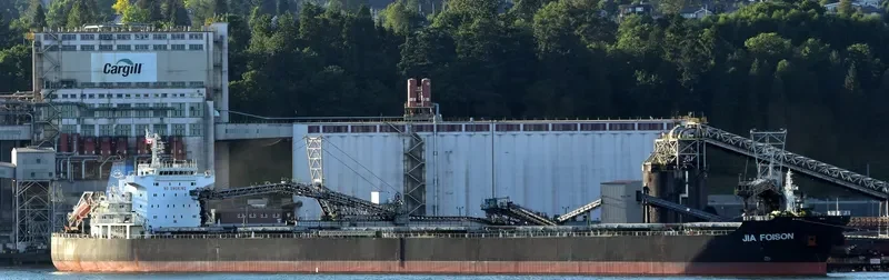 JIA FOISON Bulk Carrier IMO 9583603 photo 10