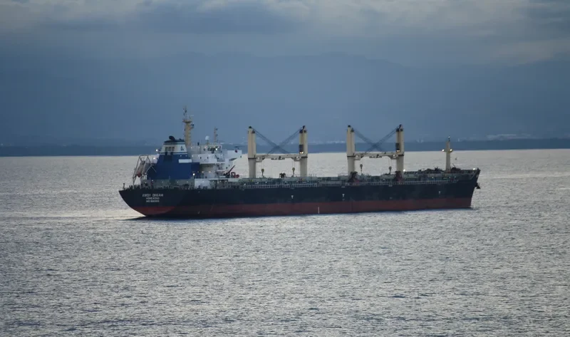 AMOY DREAM Bulk Carrier IMO 9583615 photo 3