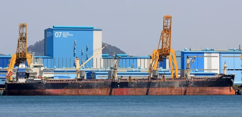 AMOY DREAM Bulk Carrier IMO 9583615 photo 8