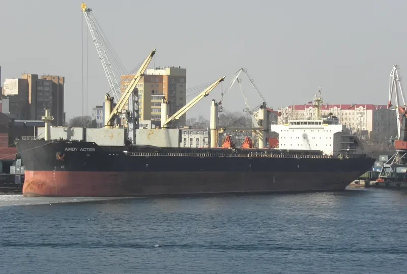 AMOY ACTION Bulk Carrier IMO 9583627