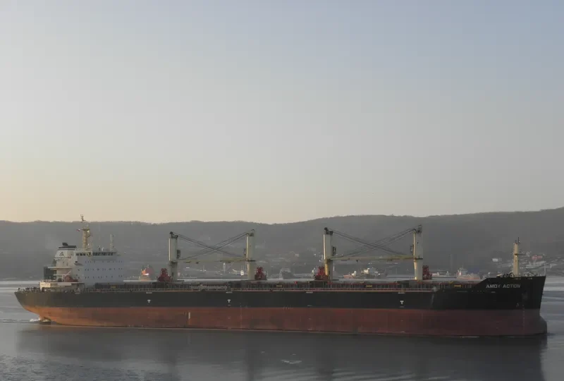 AMOY ACTION Bulk Carrier IMO 9583627 photo 2