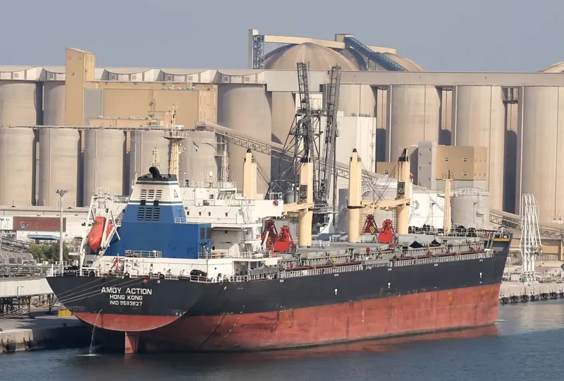 AMOY ACTION Bulk Carrier IMO 9583627 photo 5