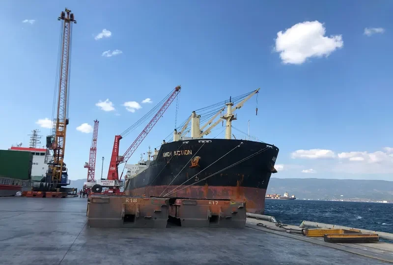 AMOY ACTION Bulk Carrier IMO 9583627 photo 7