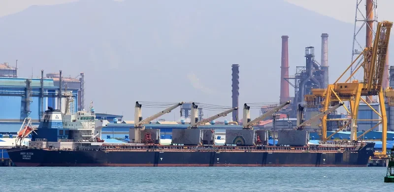 AMOY ACTION Bulk Carrier IMO 9583627 photo 9