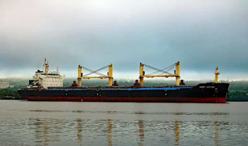 AMOY ACTION Bulk Carrier IMO 9583627 photo 10