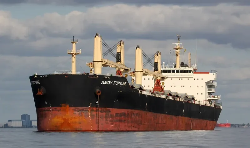 AMOY FORTUNE Bulk Carrier IMO 9583639 photo 2