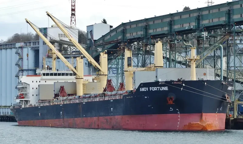 AMOY FORTUNE Bulk Carrier IMO 9583639 photo 3