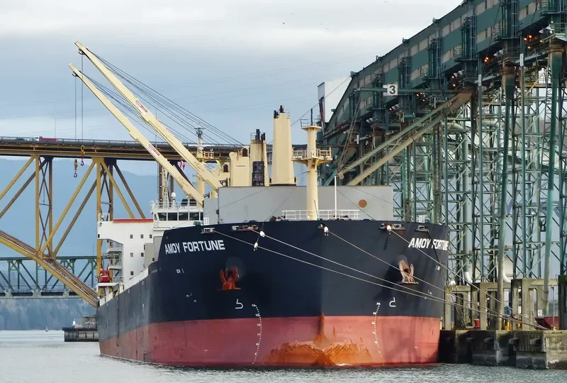 AMOY FORTUNE Bulk Carrier IMO 9583639 photo 4