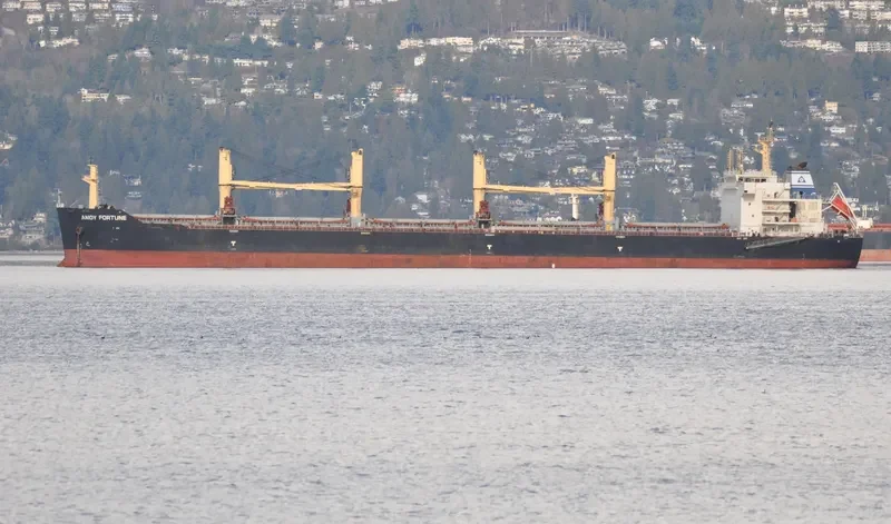 AMOY FORTUNE Bulk Carrier IMO 9583639 photo 5