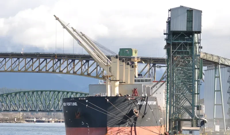 AMOY FORTUNE Bulk Carrier IMO 9583639 photo 7