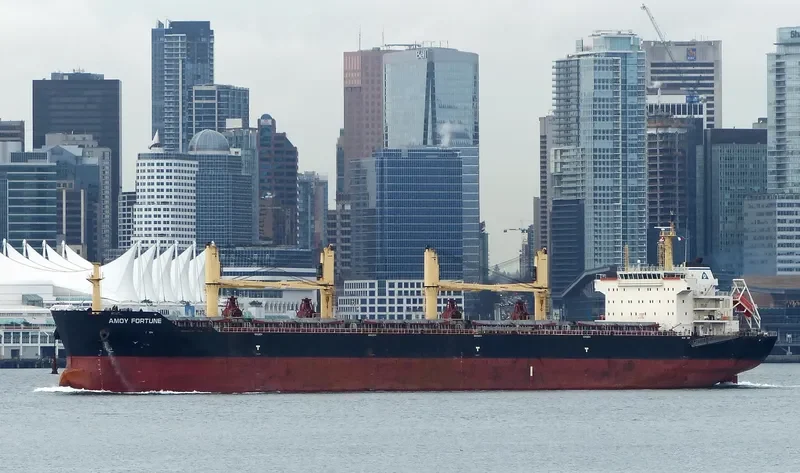 AMOY FORTUNE Bulk Carrier IMO 9583639 photo 8