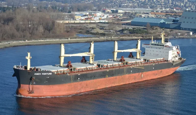 AMOY FORTUNE Bulk Carrier IMO 9583639 photo 9