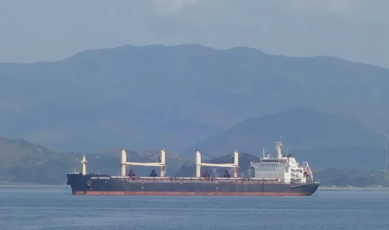 AMOY FORTUNE Bulk Carrier IMO 9583639 photo 10