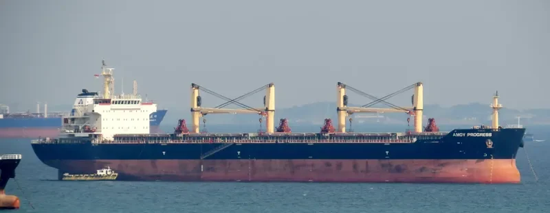 AMOY PROGRESS Bulk Carrier IMO 9583641