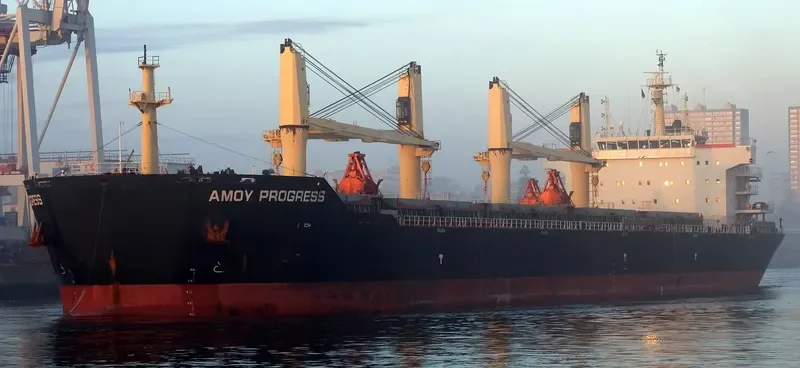AMOY PROGRESS Bulk Carrier IMO 9583641 photo 4