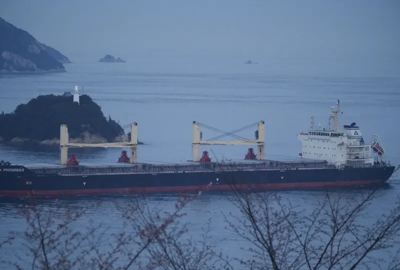 AMOY PROGRESS Bulk Carrier IMO 9583641 photo 5