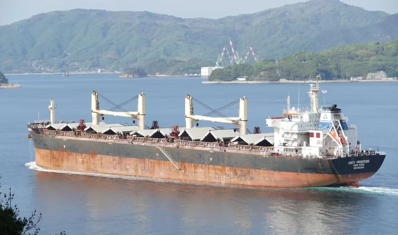 AMOY PROGRESS Bulk Carrier IMO 9583641 photo 7