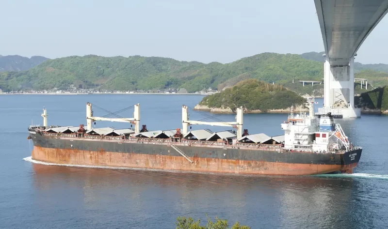 AMOY PROGRESS Bulk Carrier IMO 9583641 photo 8