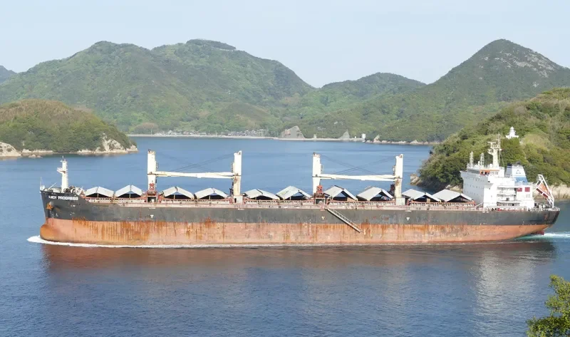 AMOY PROGRESS Bulk Carrier IMO 9583641 photo 9