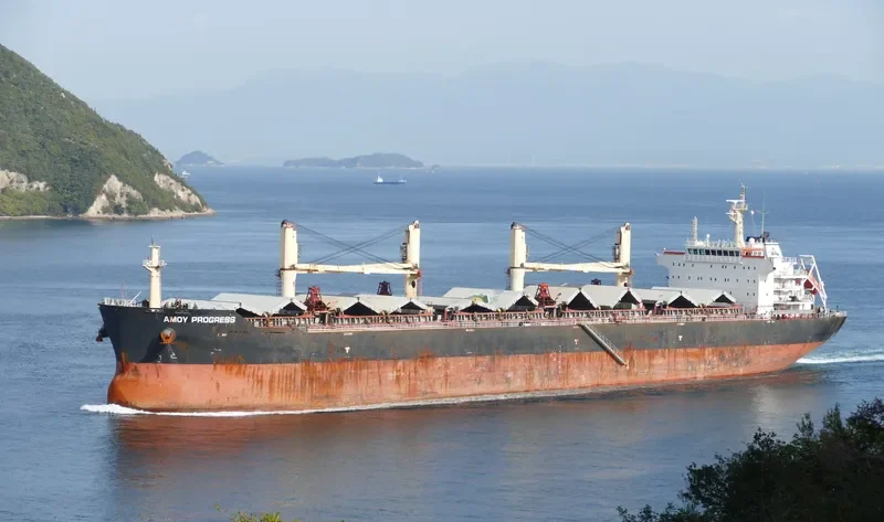 AMOY PROGRESS Bulk Carrier IMO 9583641 photo 10