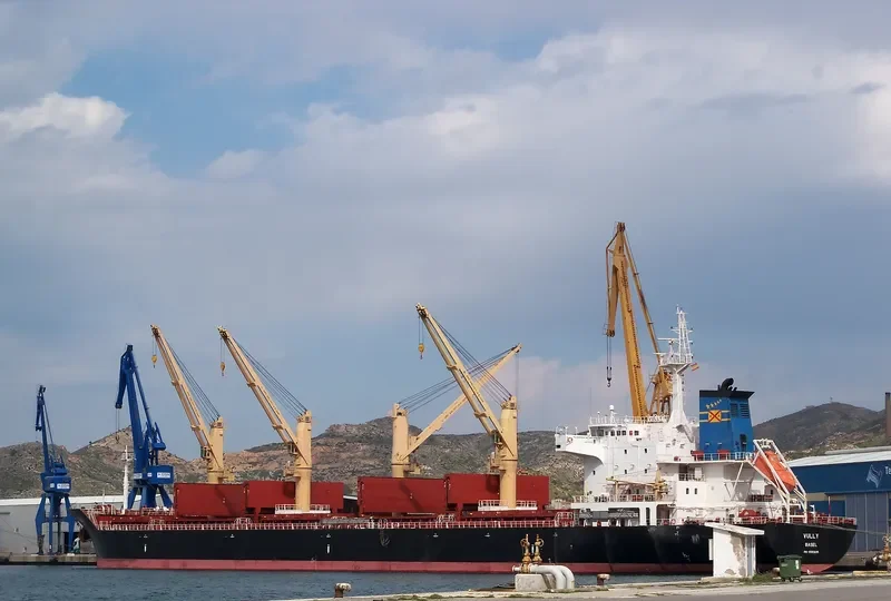 VULLY Bulk Carrier IMO 9583691