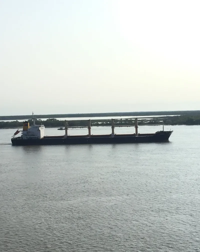 CHARMEY Bulk Carrier IMO 9583706