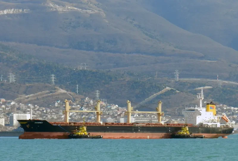 CHARMEY Bulk Carrier IMO 9583706 photo 7