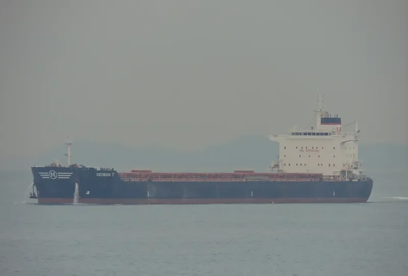 GEORGIA T Bulk Carrier IMO 9583756 photo 5