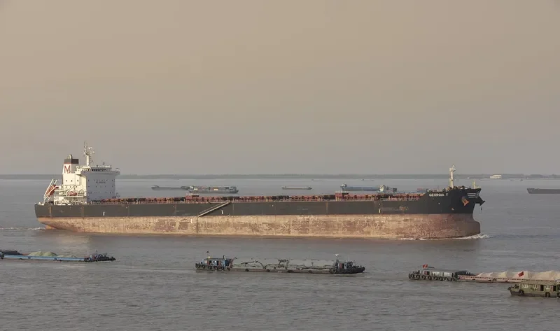 GEORGIA T Bulk Carrier IMO 9583756 photo 8