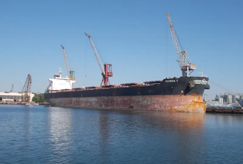 GEORGIA T Bulk Carrier IMO 9583756 photo 9