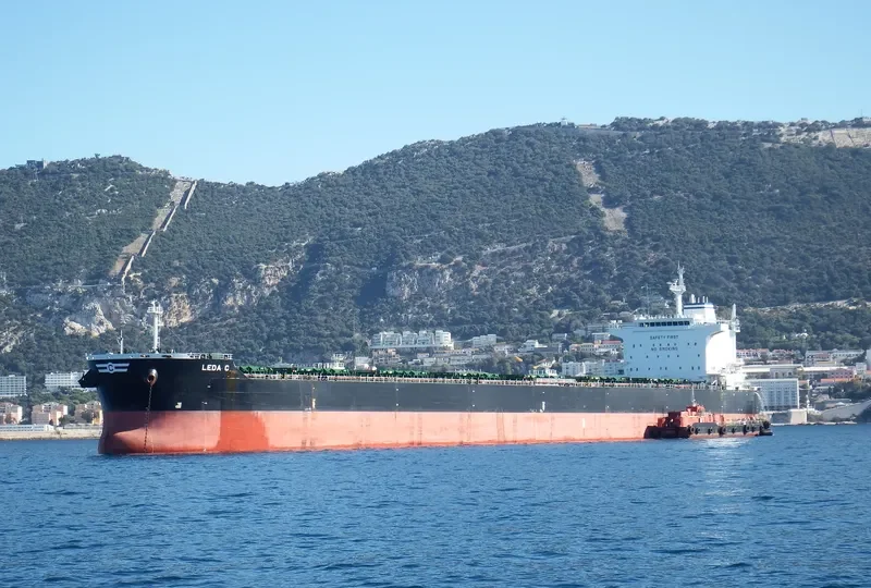 LEDA C Bulk Carrier IMO 9583768