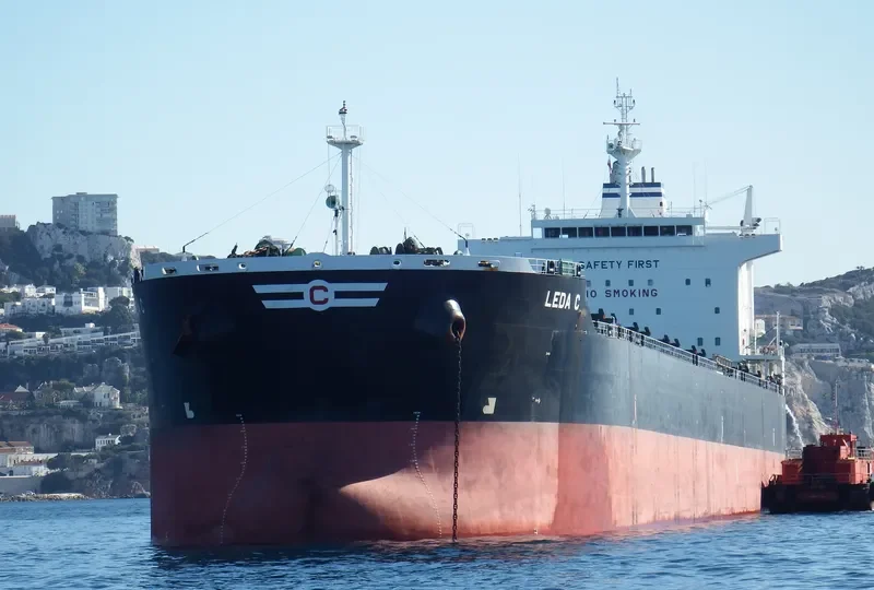 LEDA C Bulk Carrier IMO 9583768 photo 2