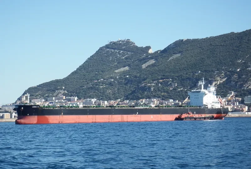 LEDA C Bulk Carrier IMO 9583768 photo 3