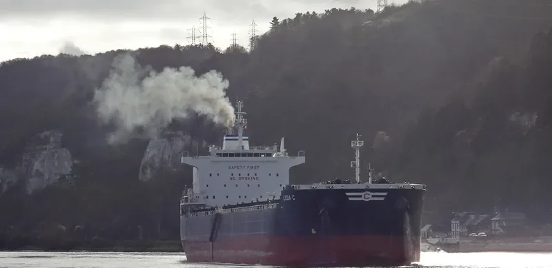 LEDA C Bulk Carrier IMO 9583768 photo 4